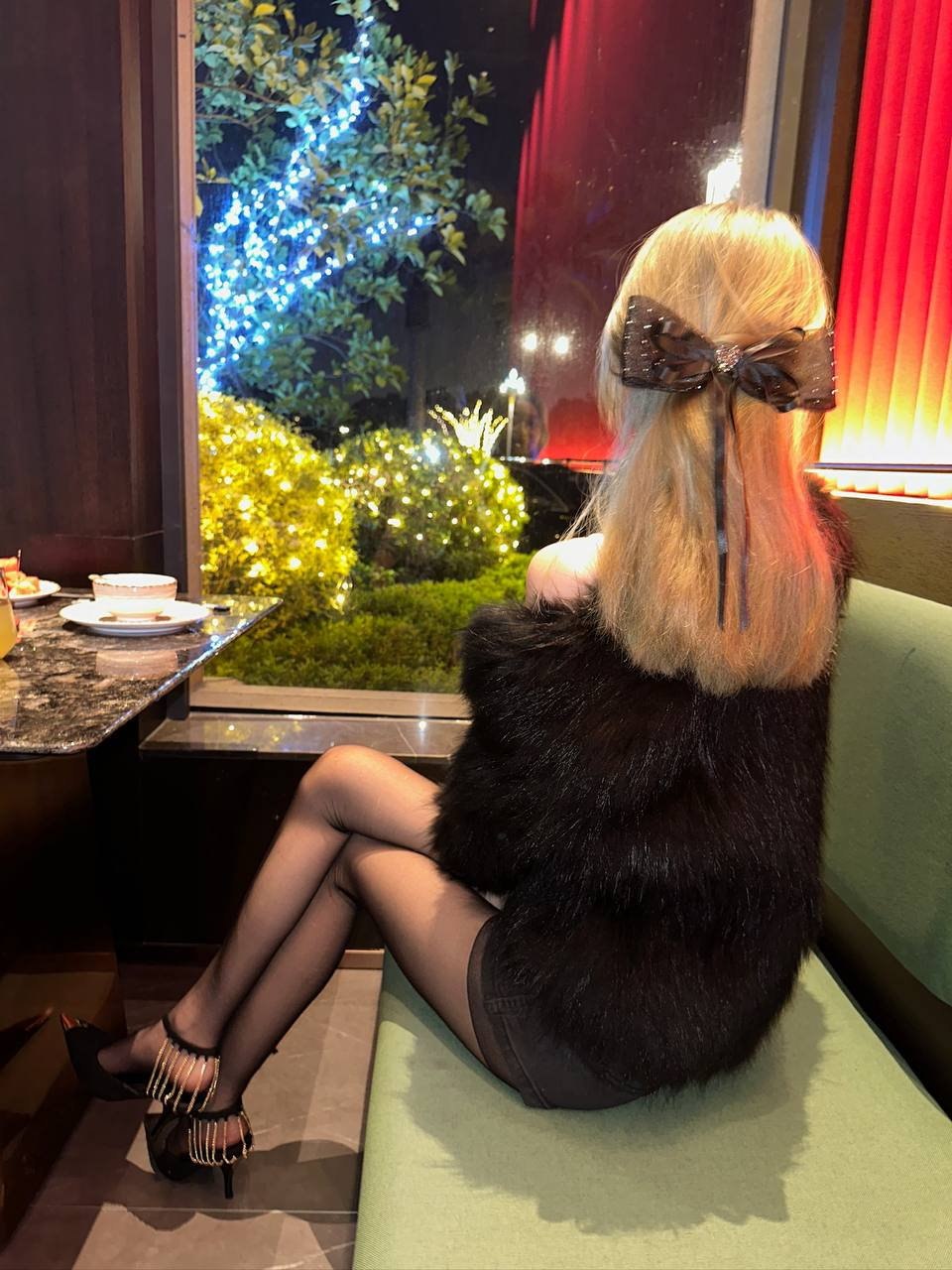 画宝