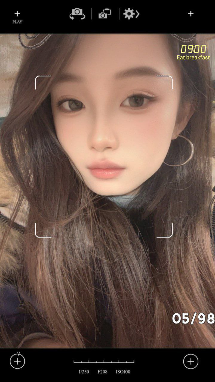 加菲猫q24