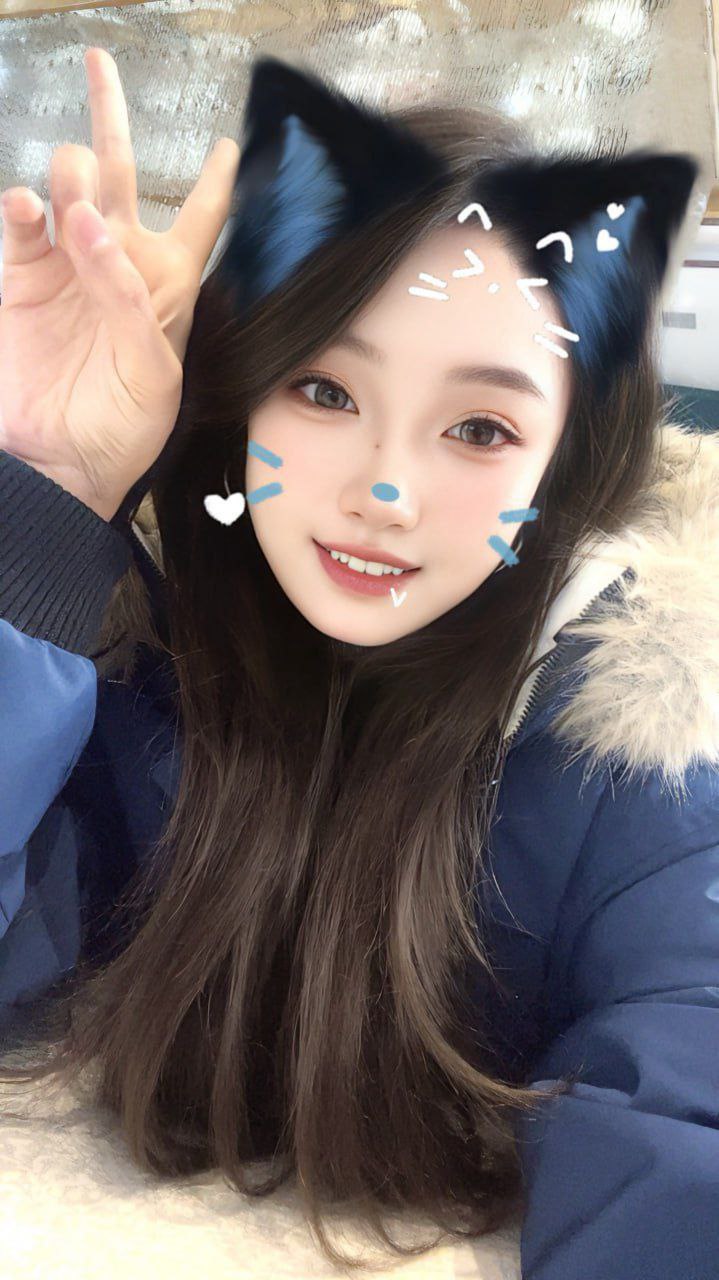 加菲猫q24