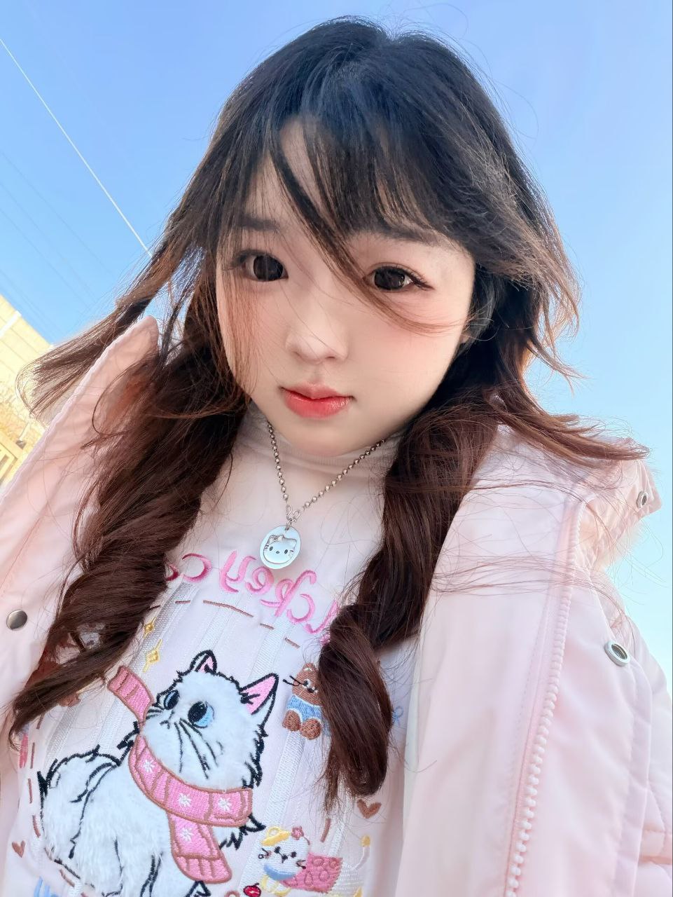 豆豆C