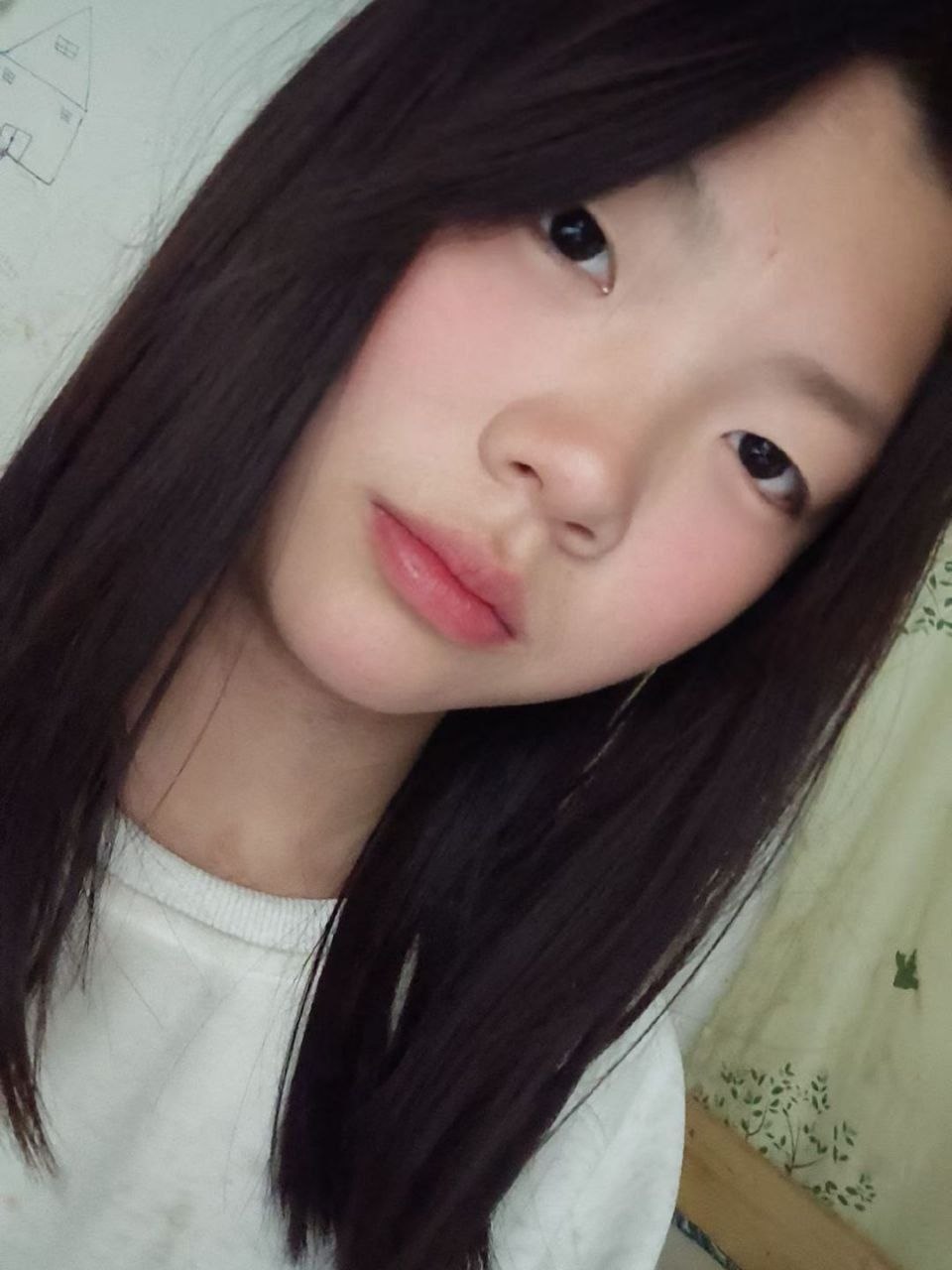 豆豆W