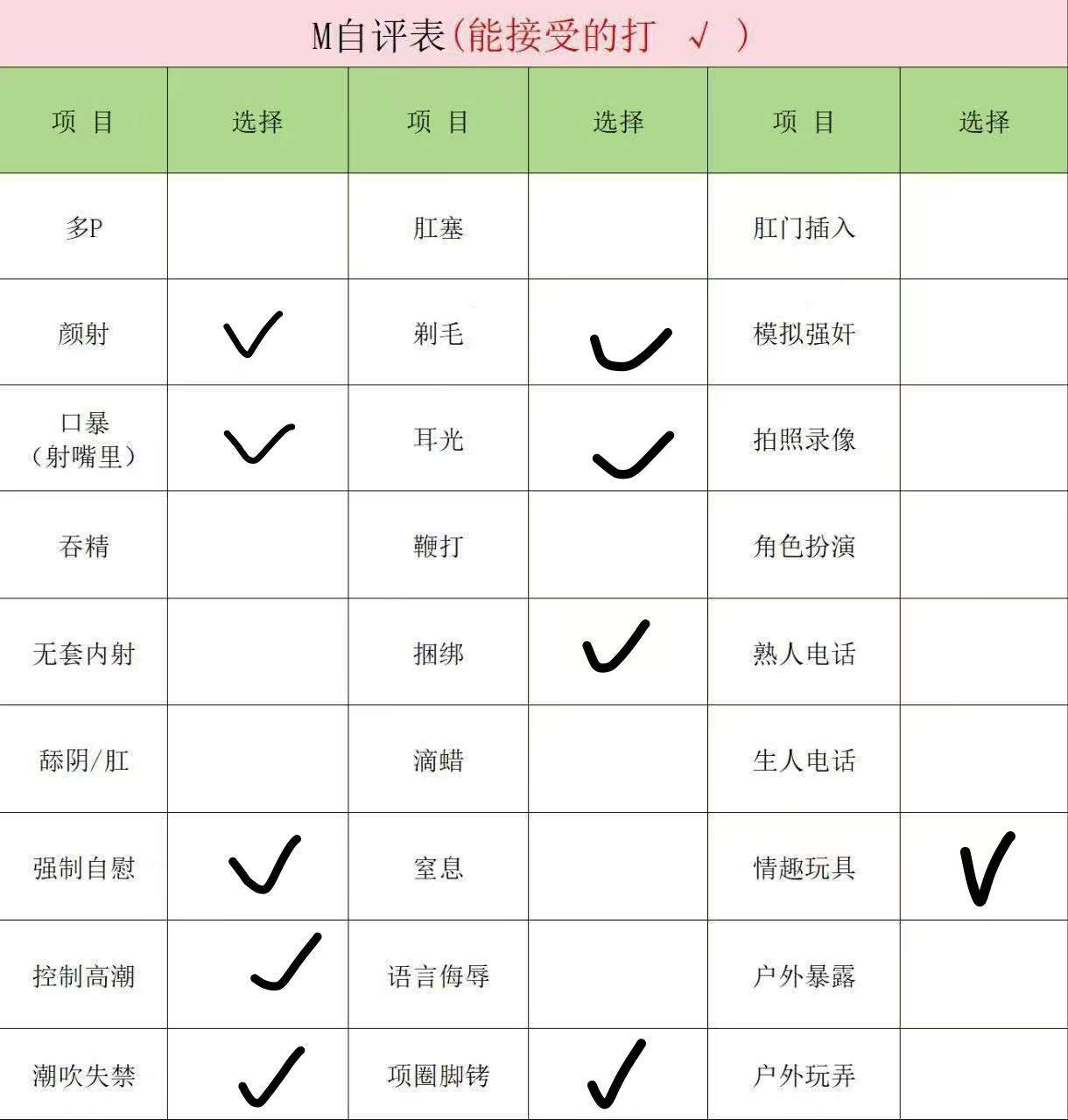 伴友 P99