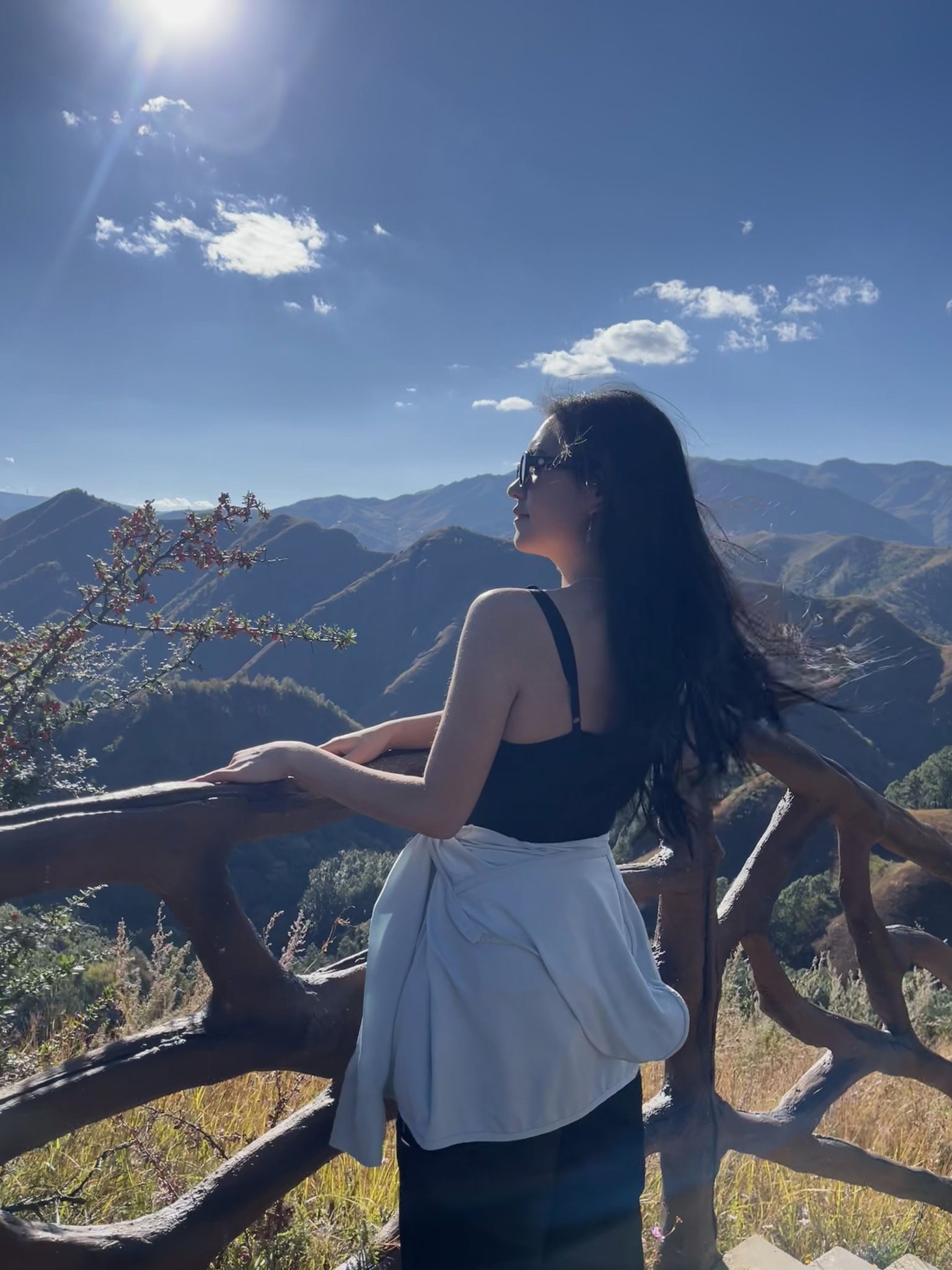 李逍遥2037
