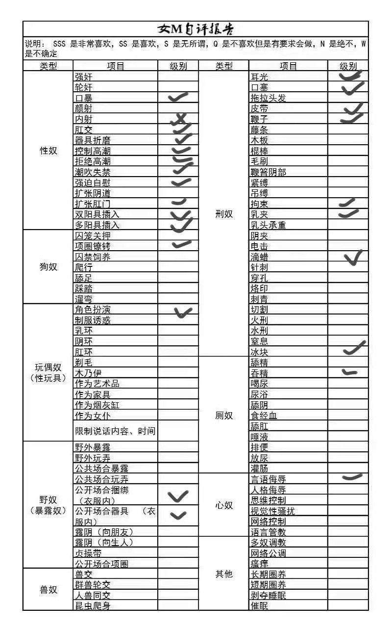 朴朴村长262
