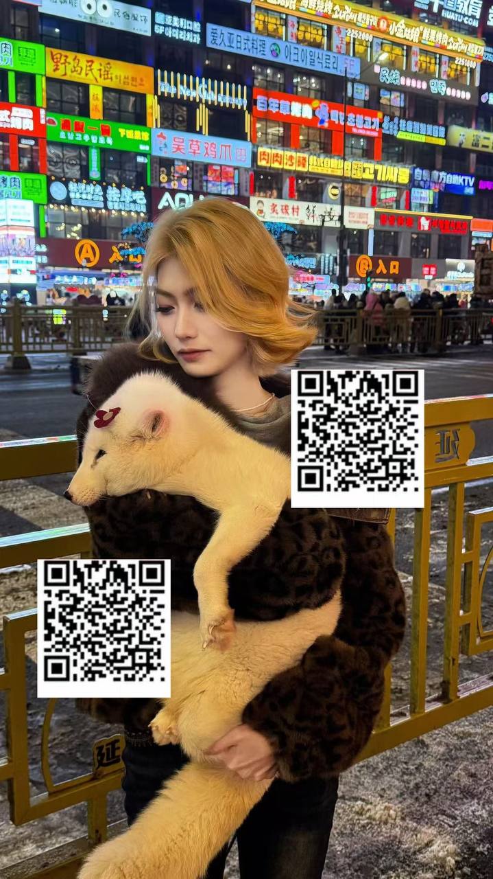 伴友 W34