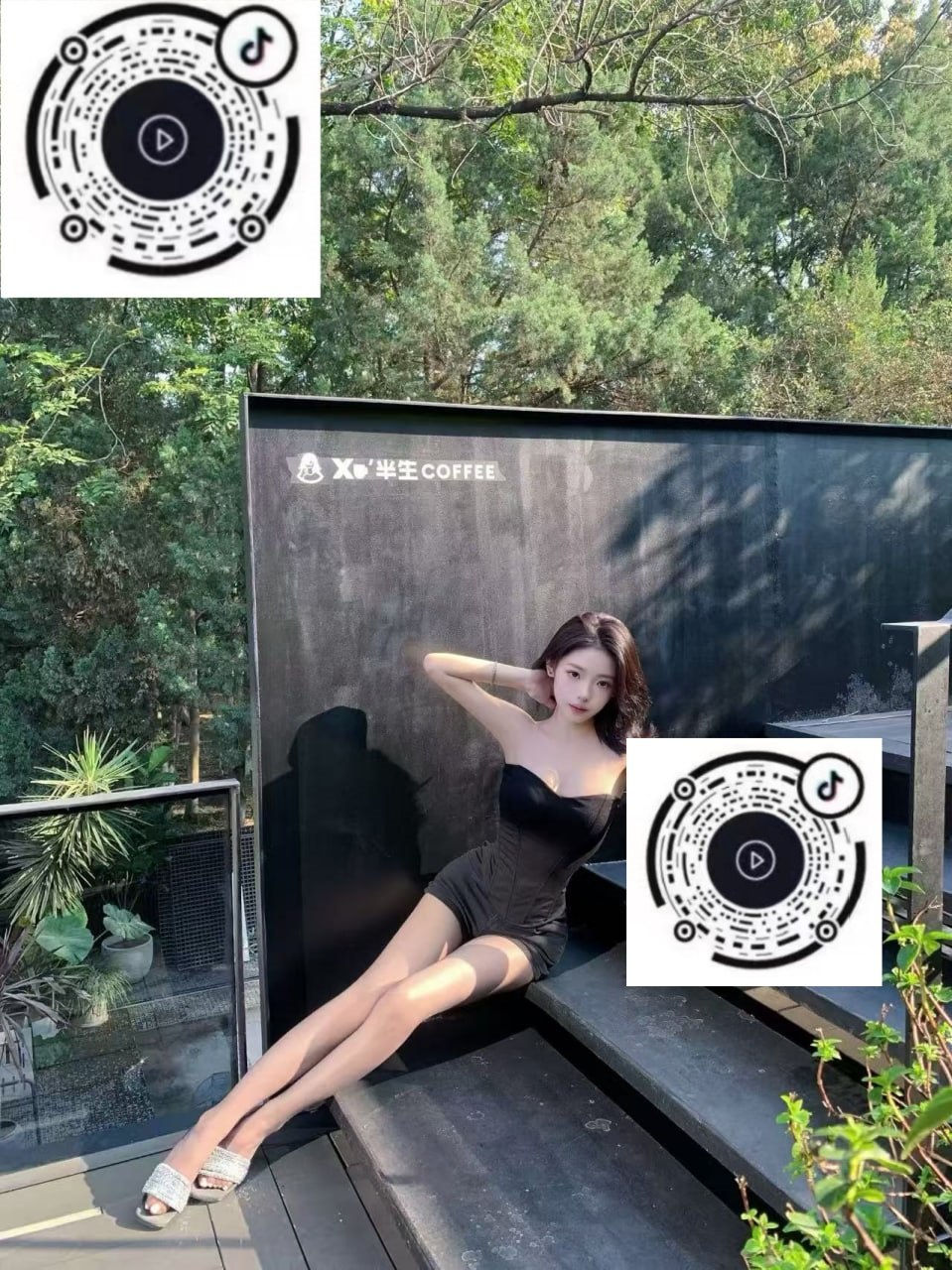 兮兮