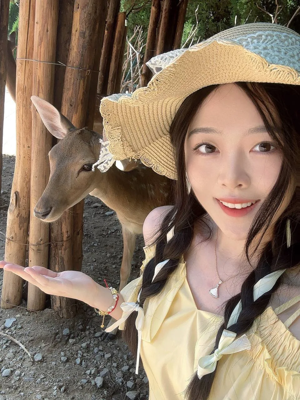 验证视频封面