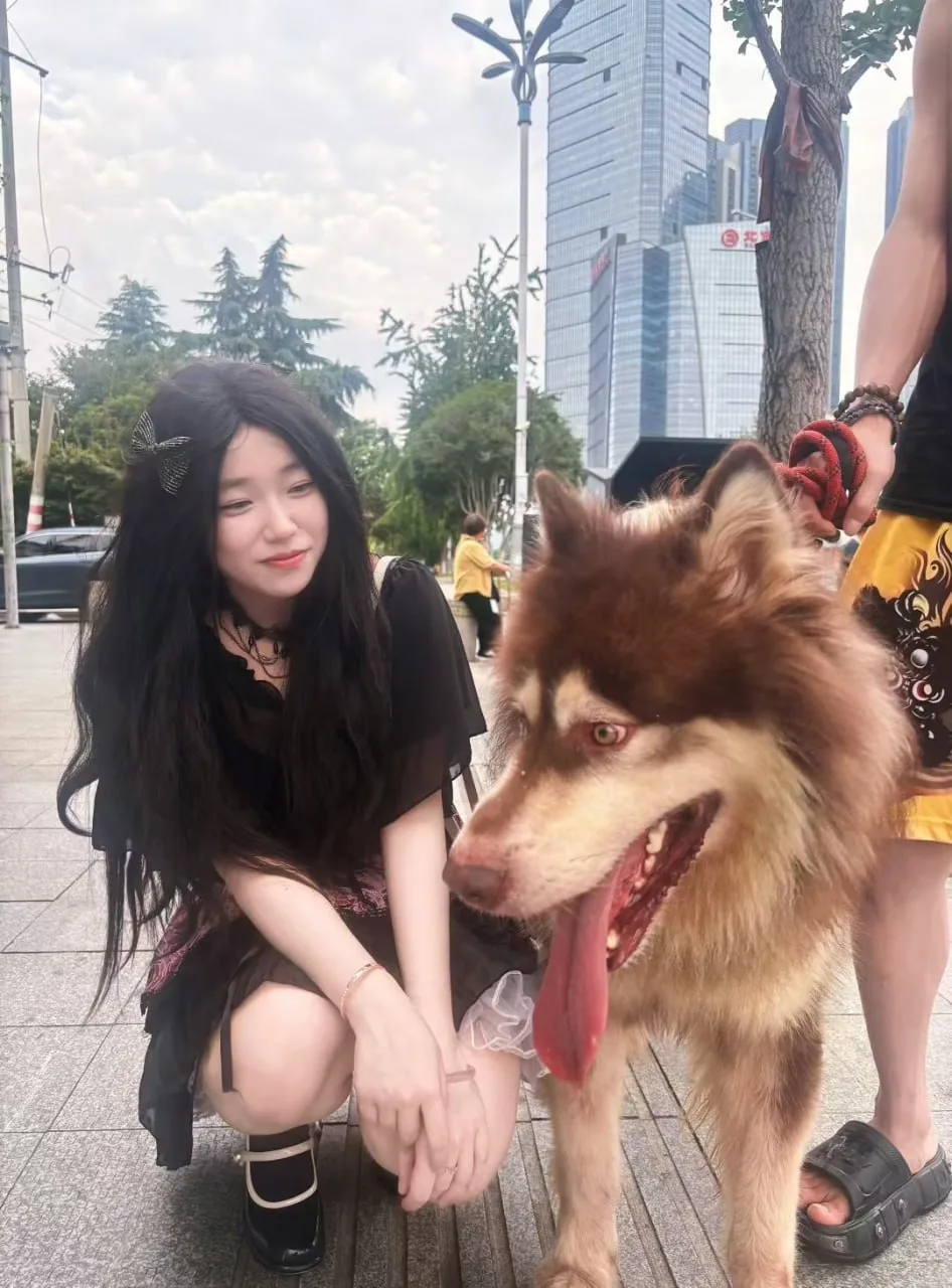 验证视频封面