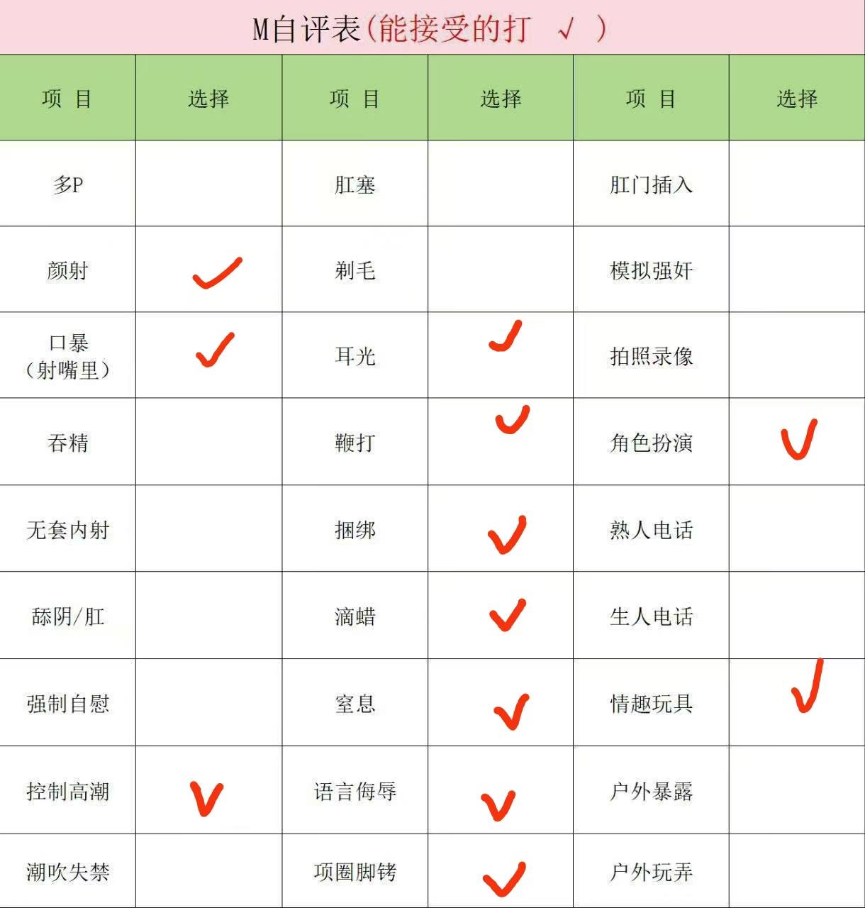 伴友 MZ25