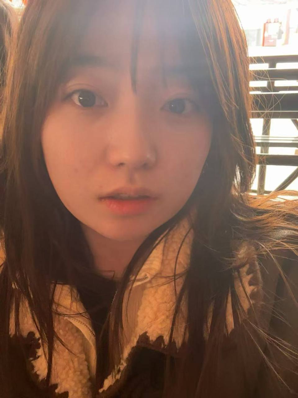小狗