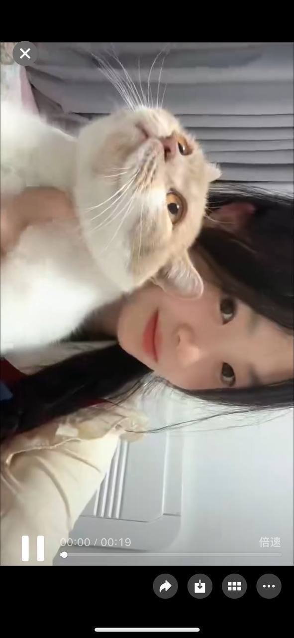 朴朴村长044