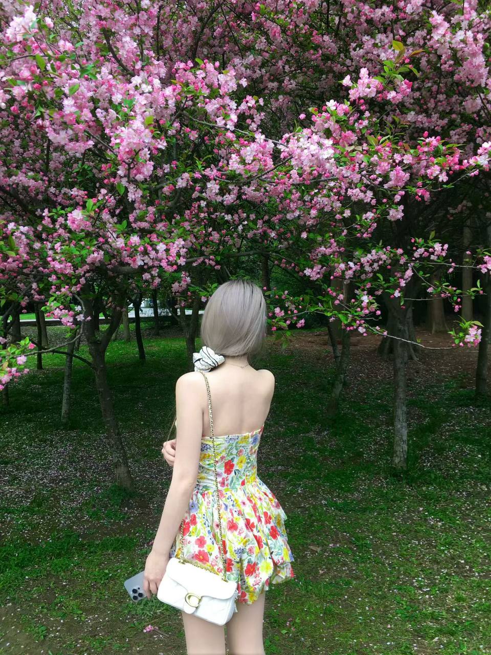 小尼尼