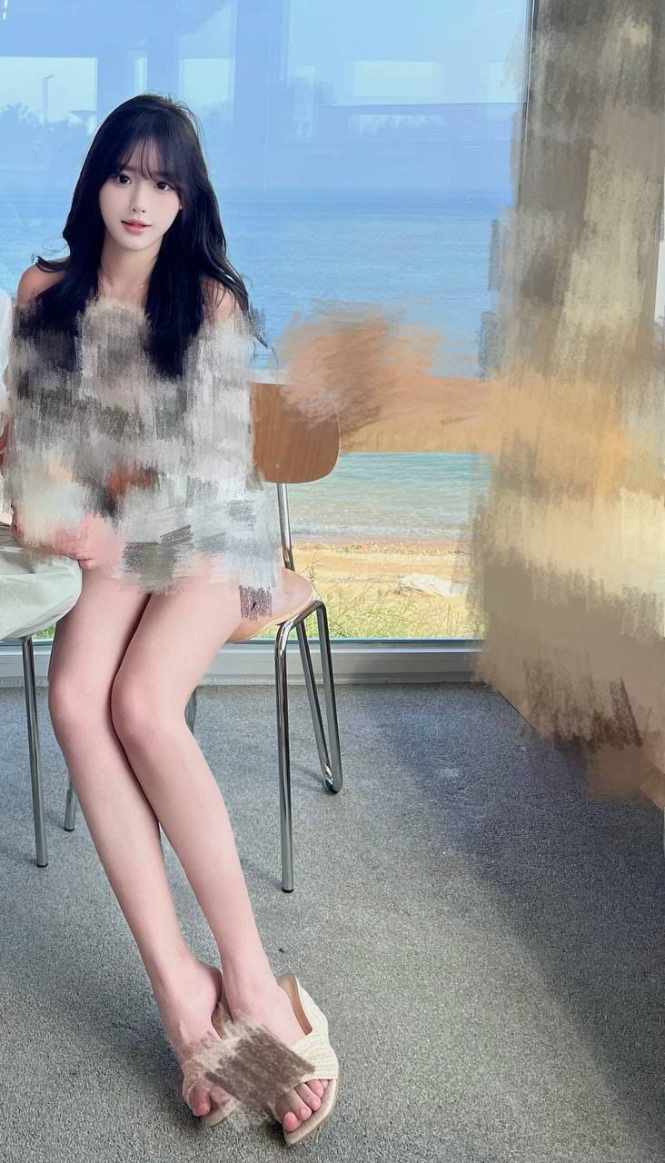 猫猫