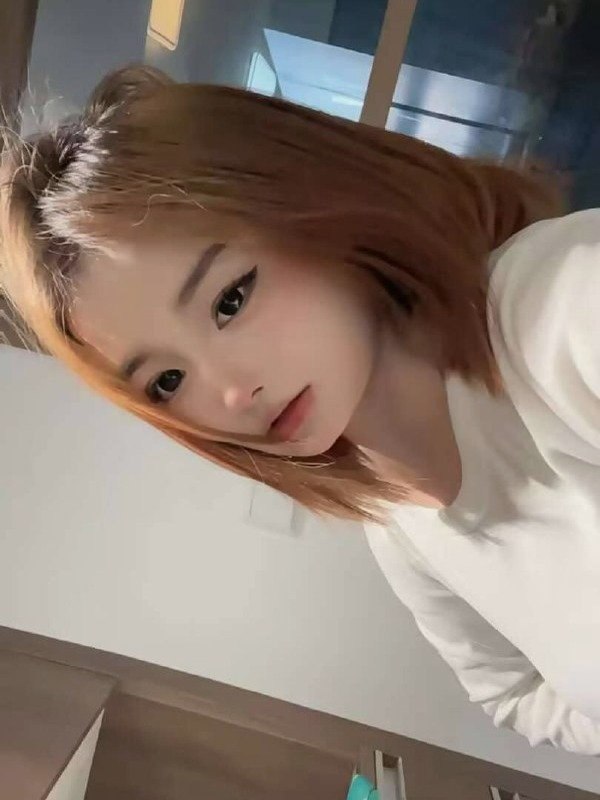 朴朴738