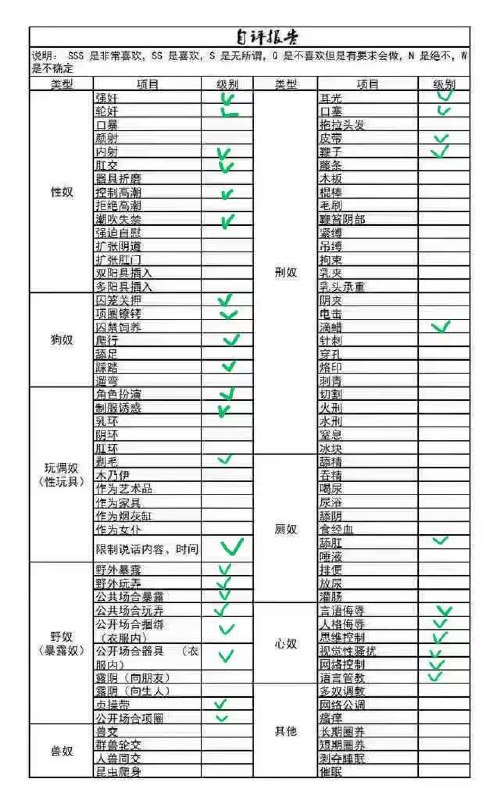 伴友 J1