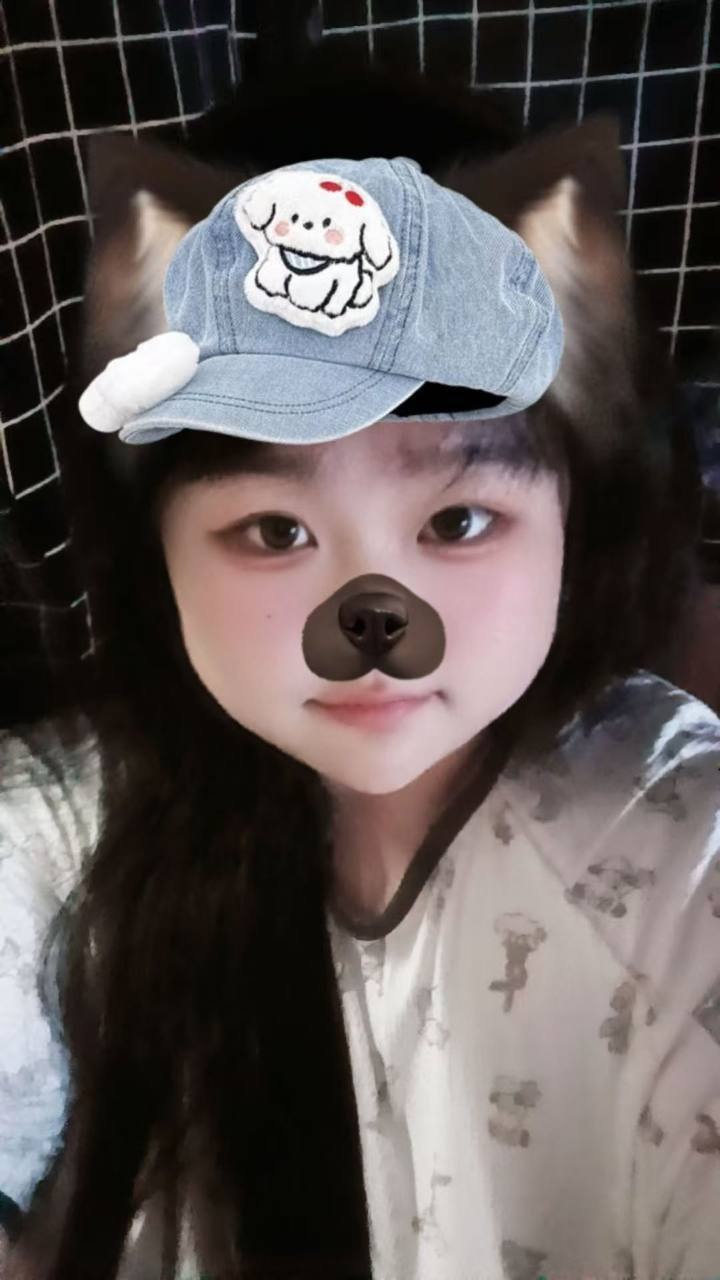 朴朴村长051
