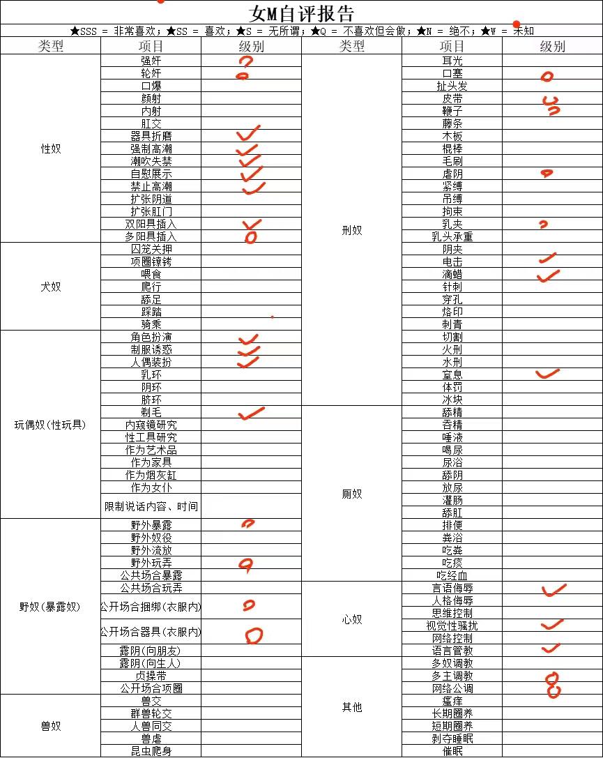 伴友 C24