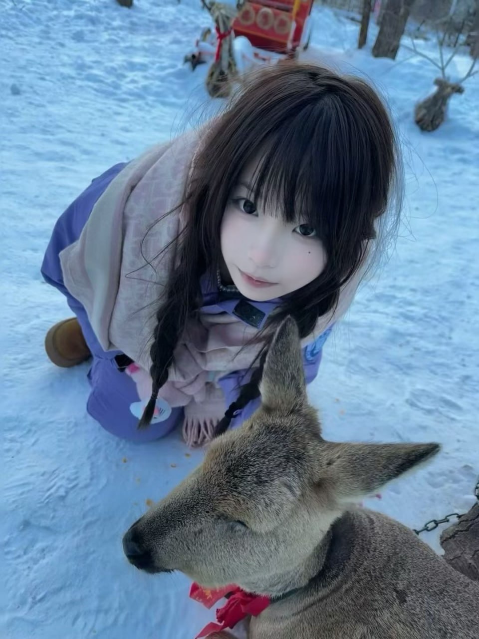 43