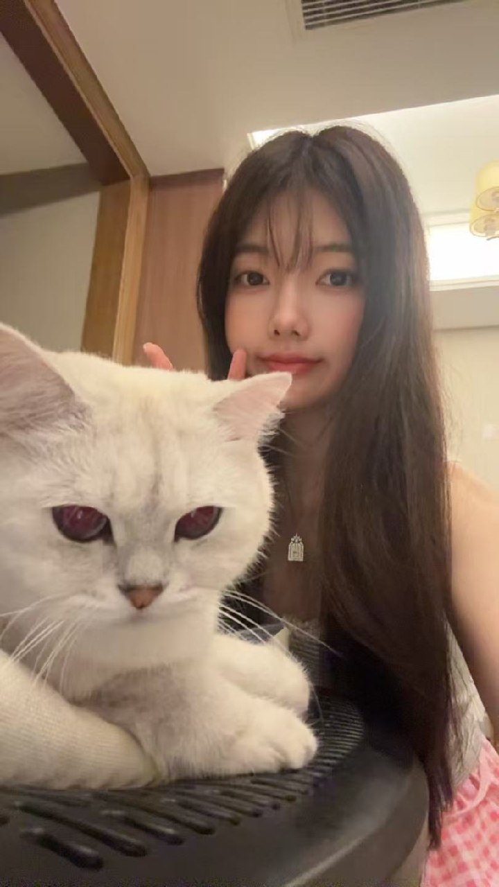 柚子