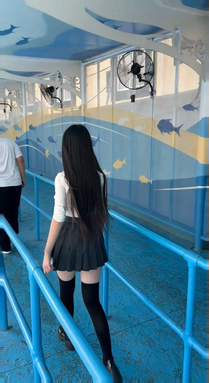 朴朴村长150