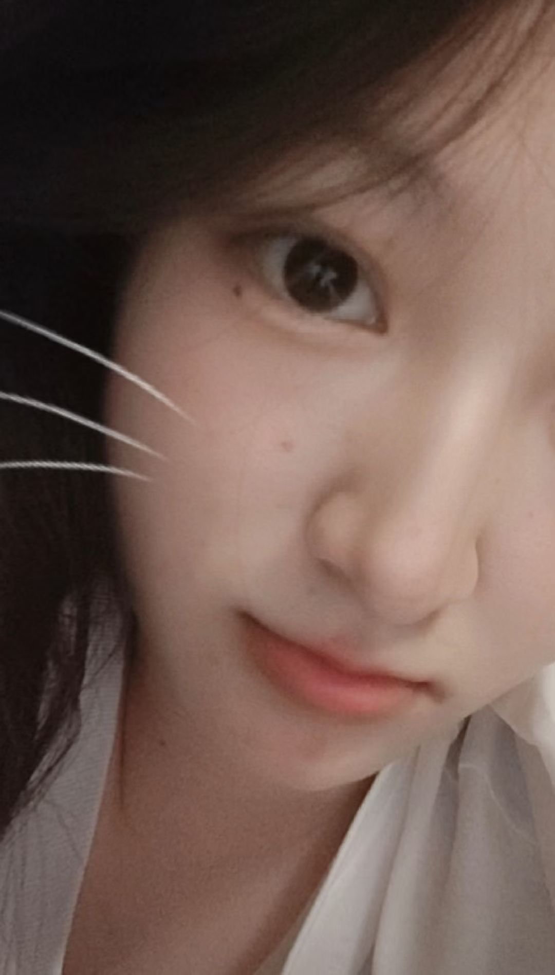朴朴村长209