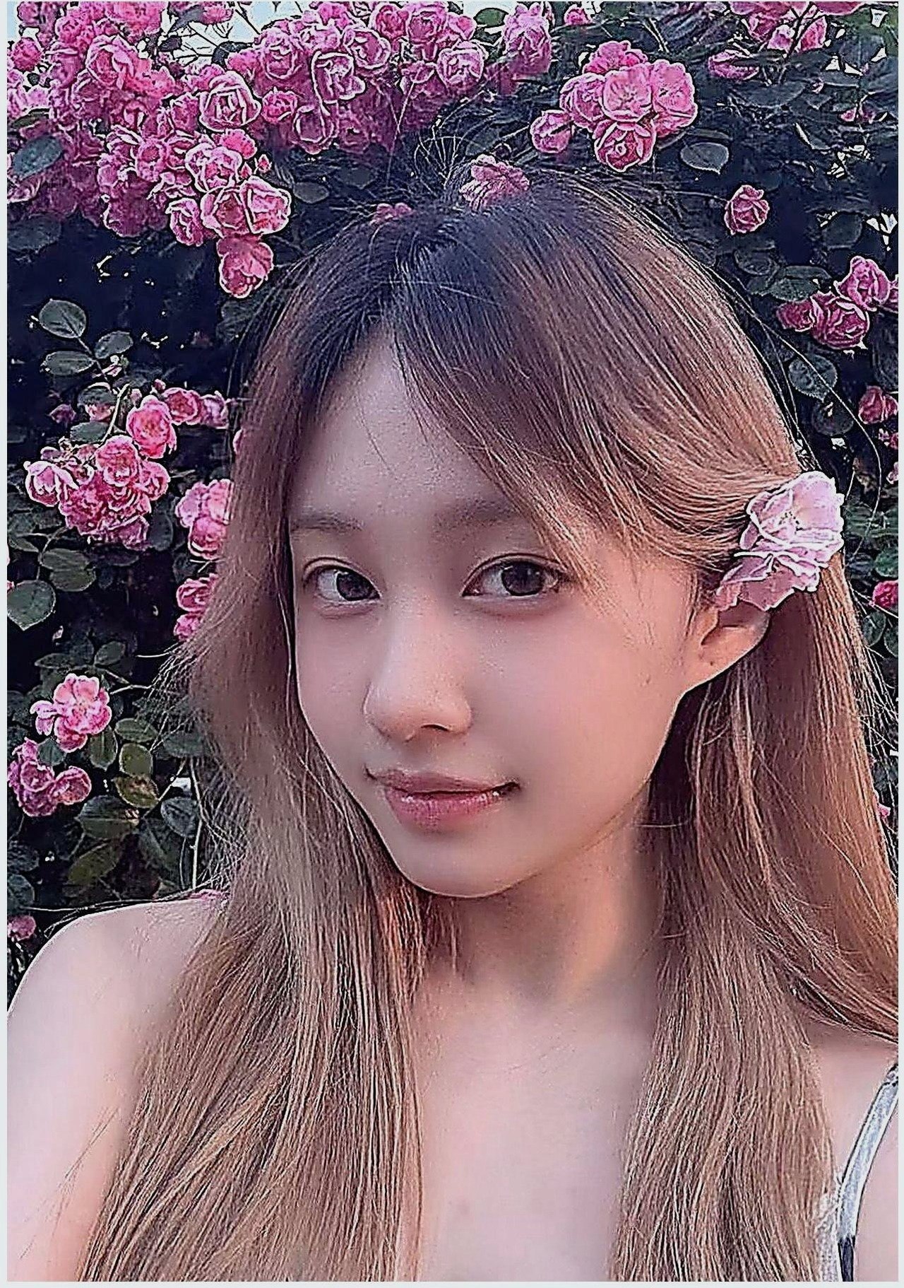 李逍遥9.1