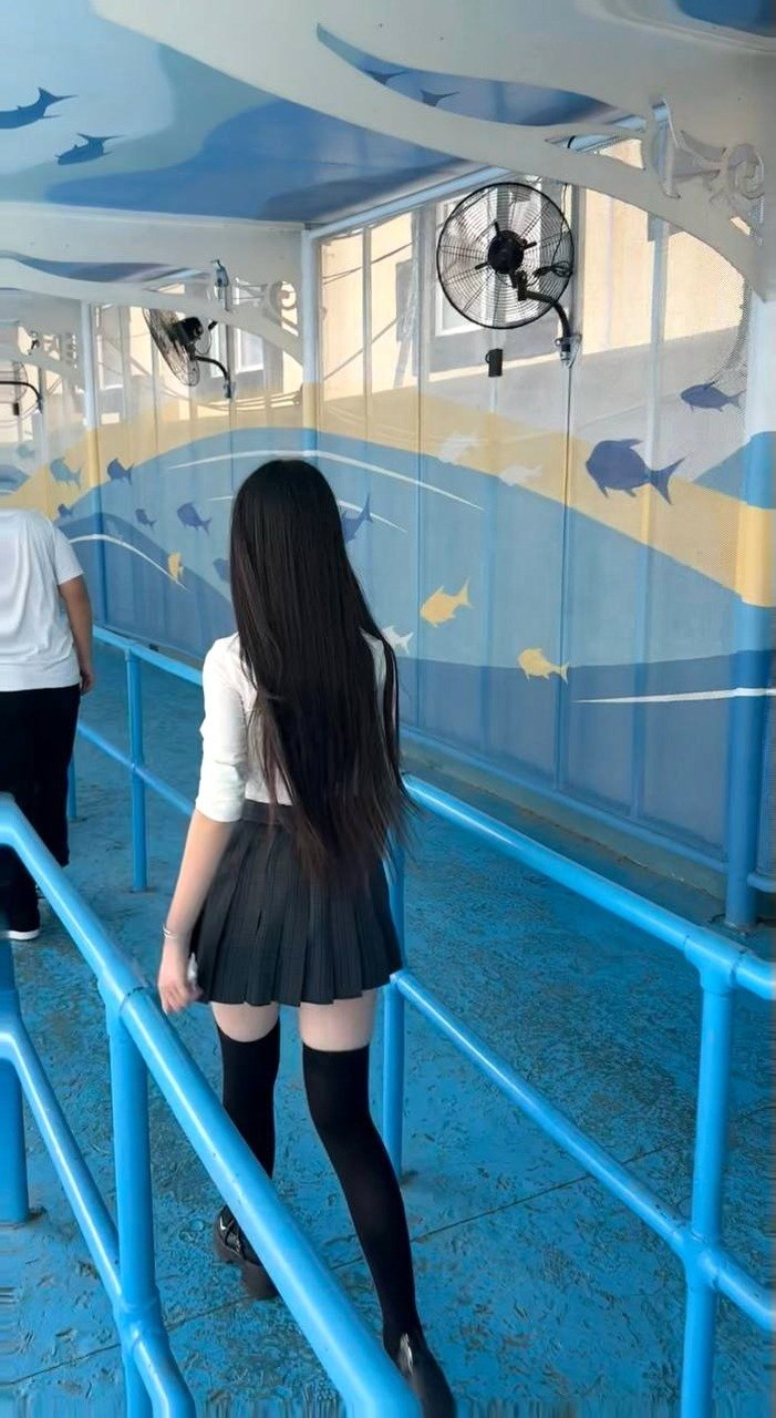 朴朴村长150
