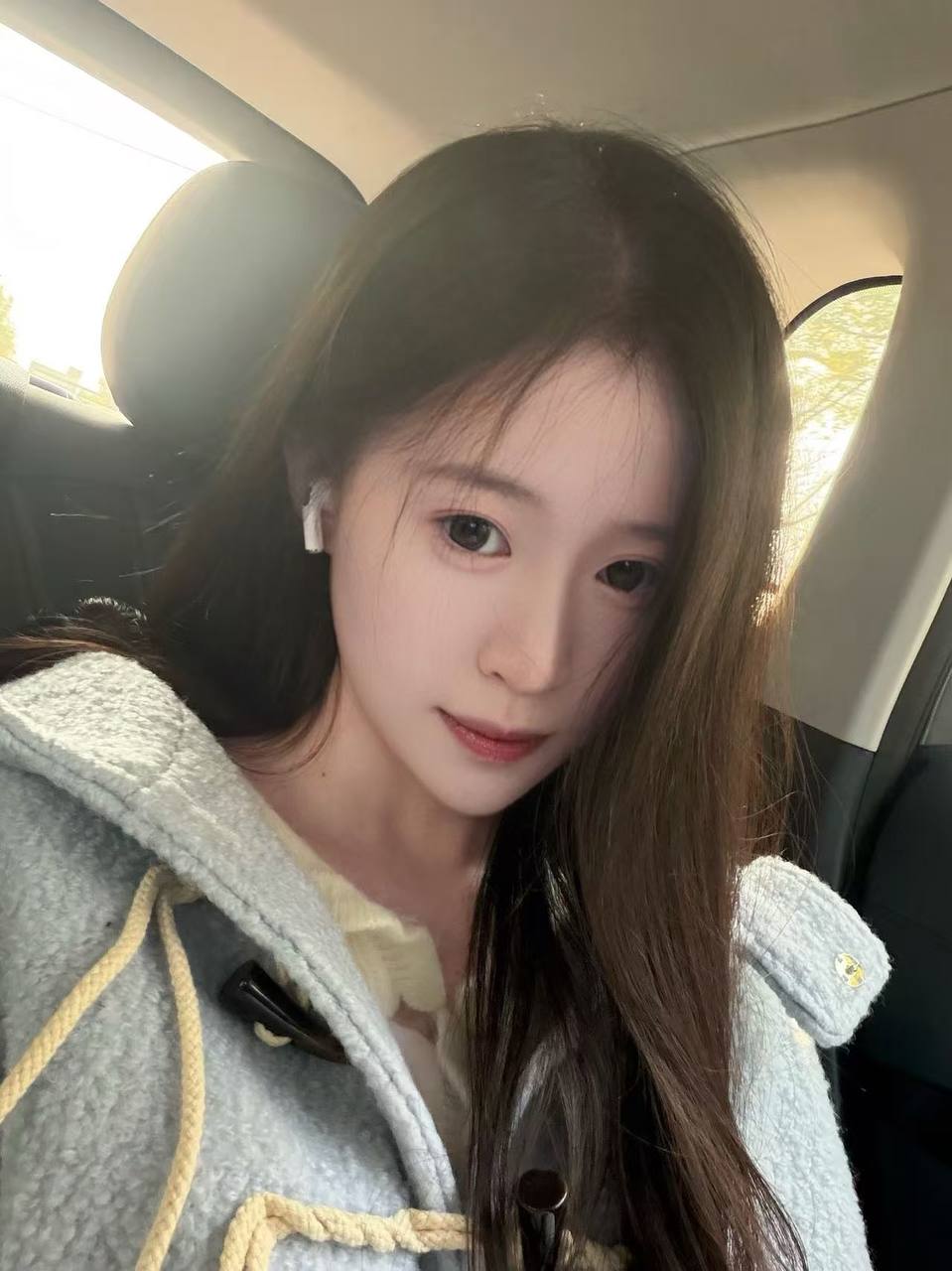 吉祥鸟by016