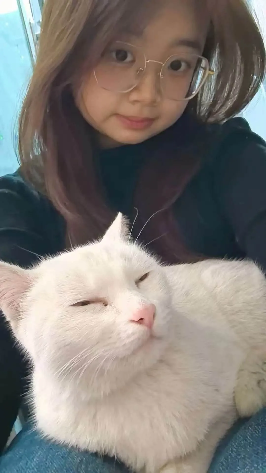 验证视频封面