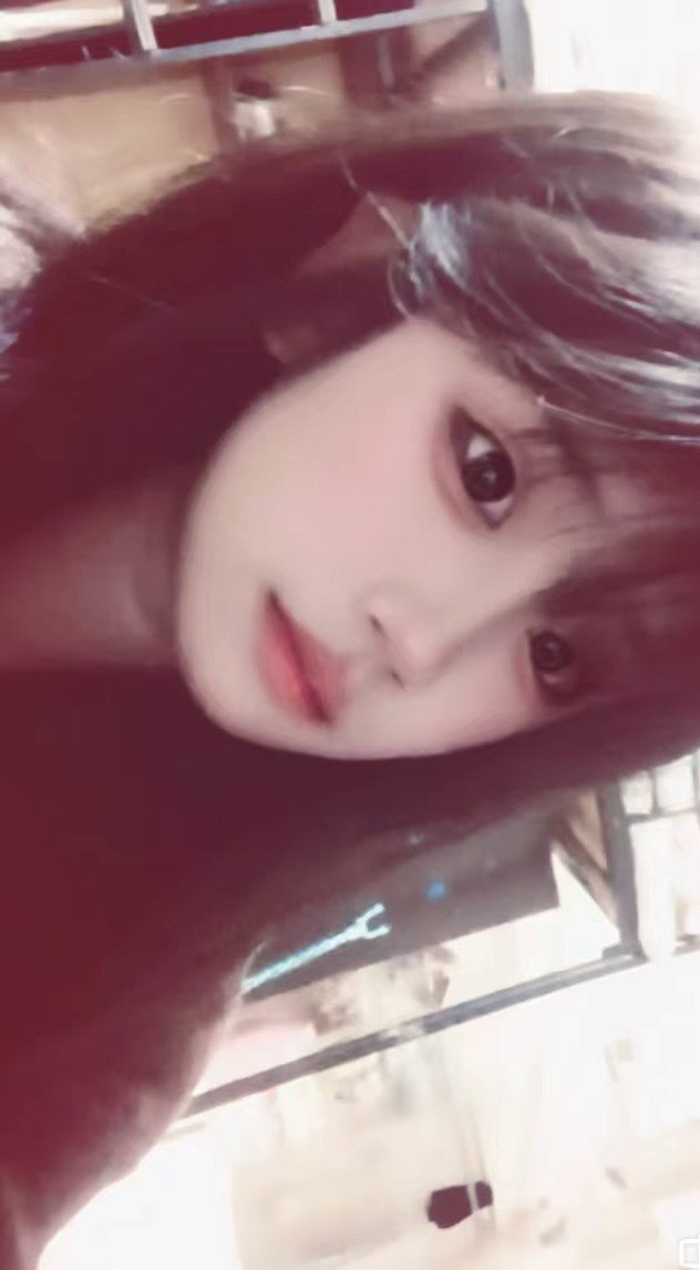 朴朴村长196