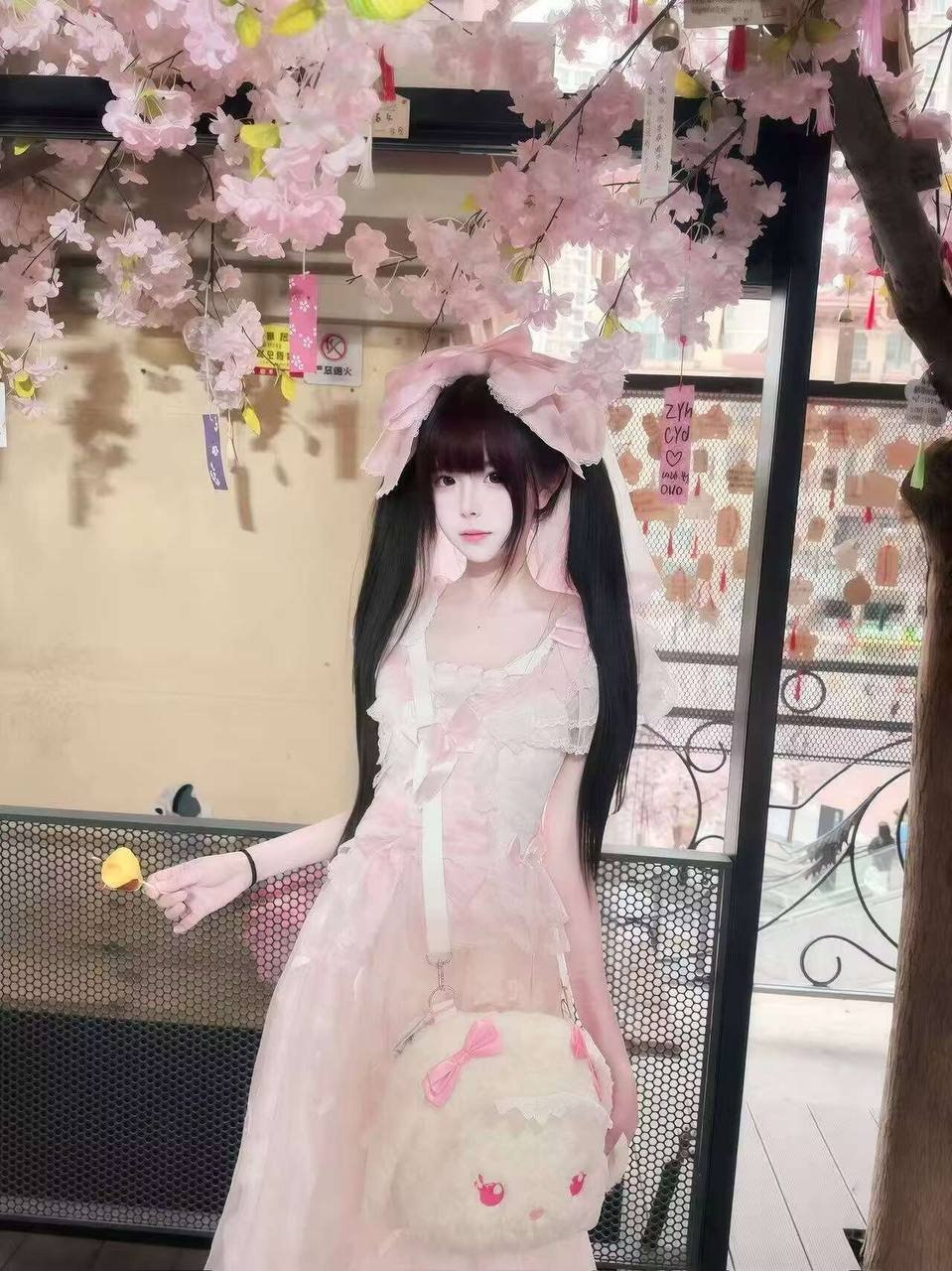 朴朴1509