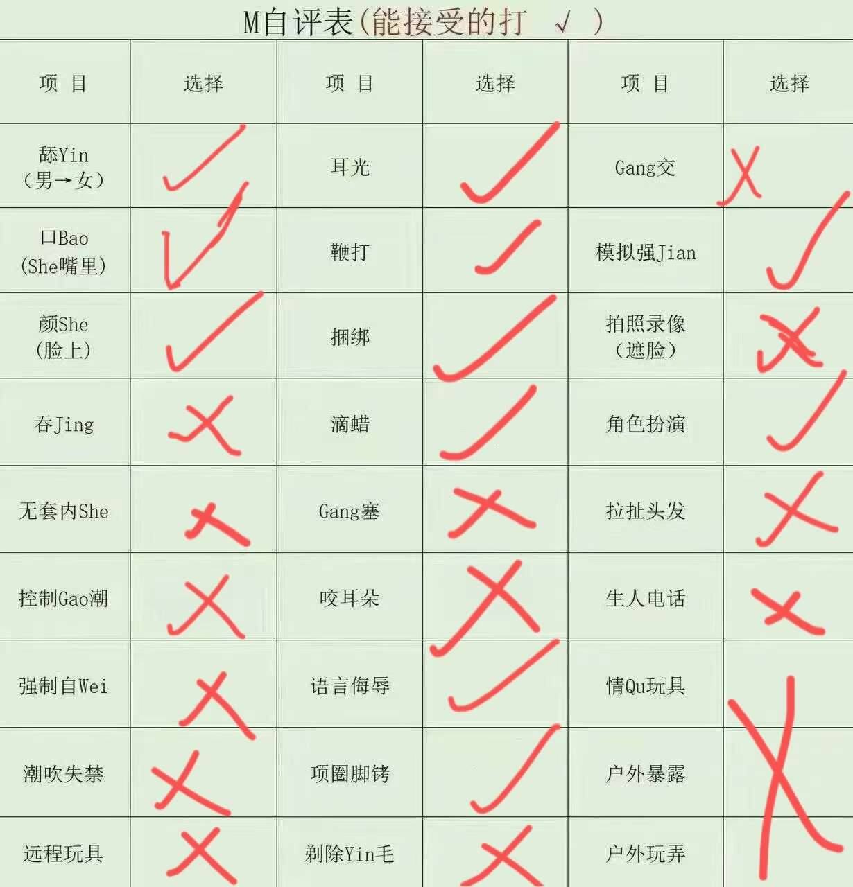 沧龙081