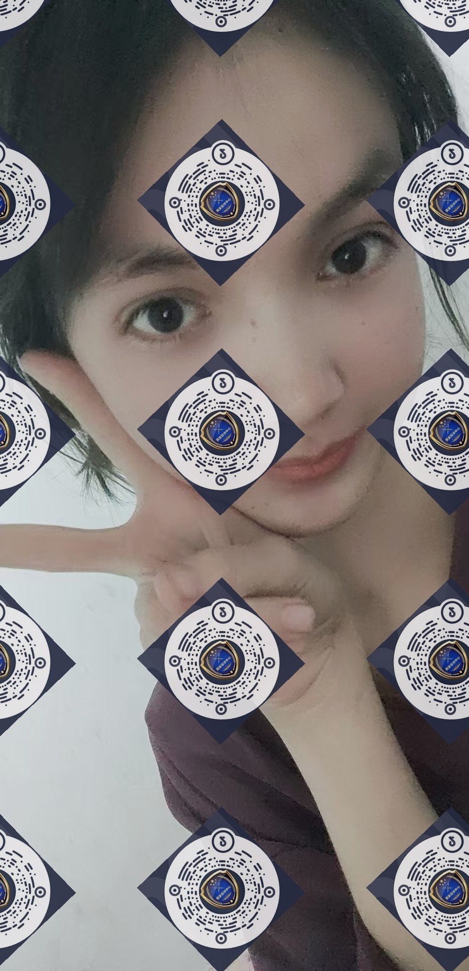 朴朴村长179