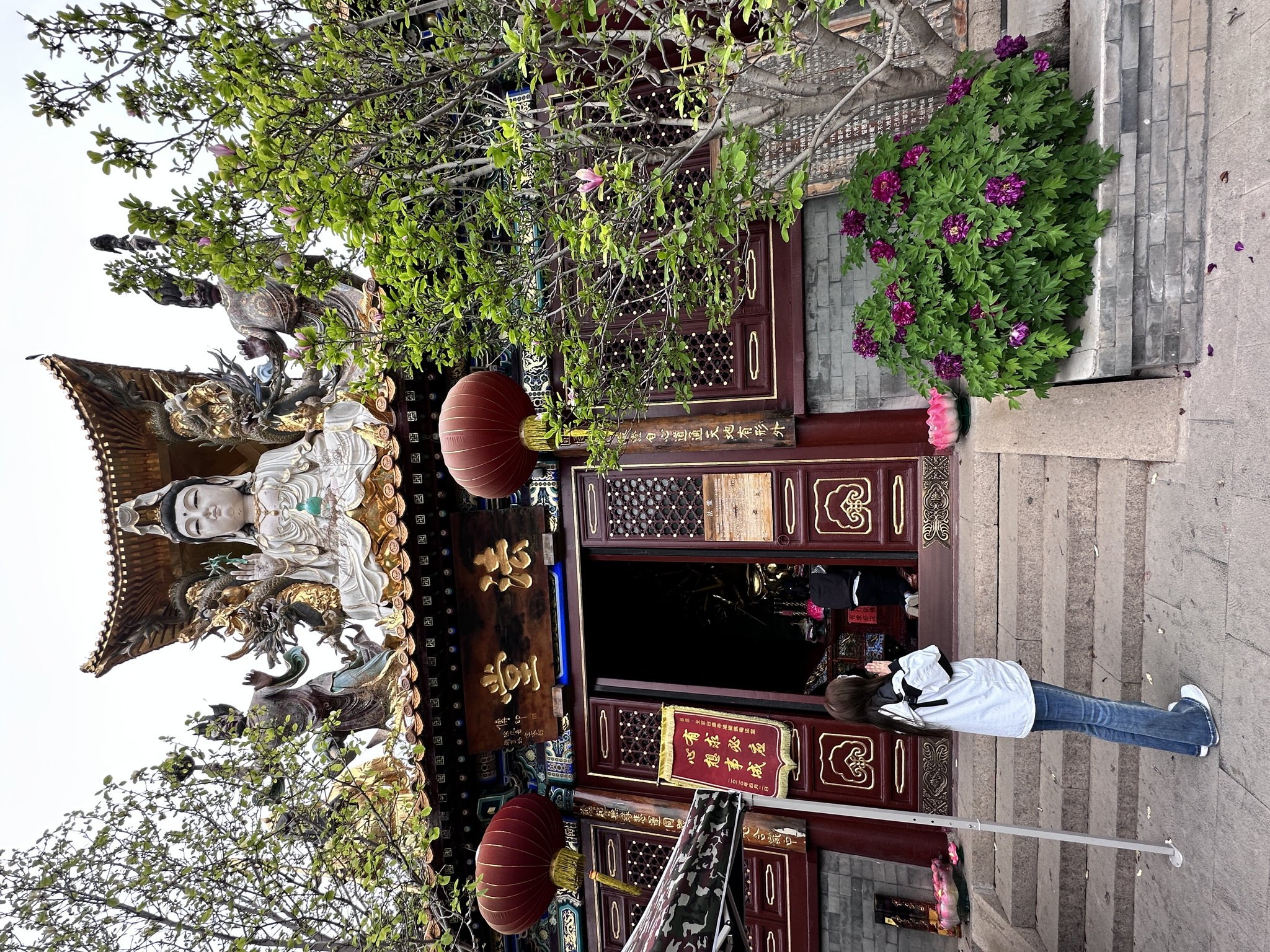 豹富100