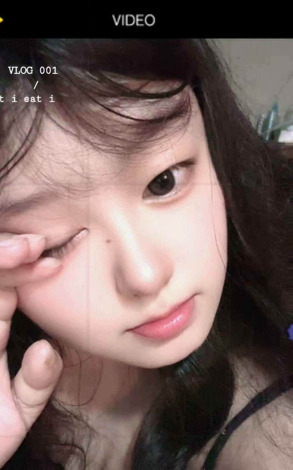朴朴村长195