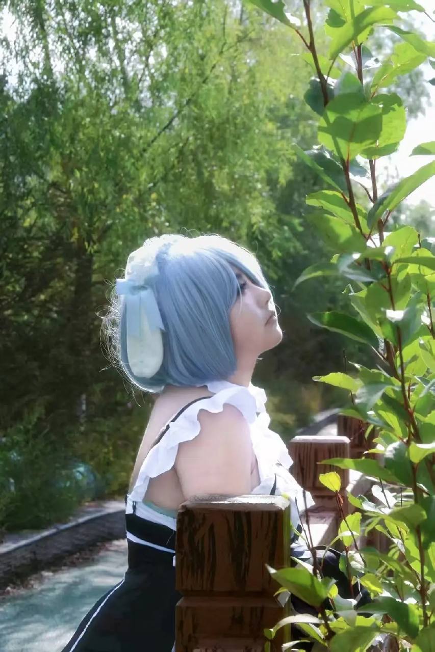 小鱼