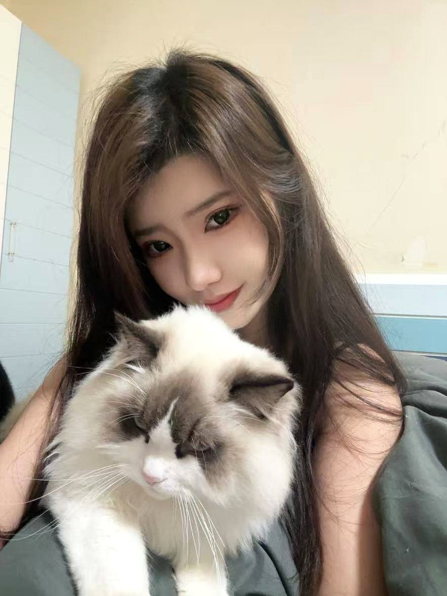 朴朴村长127