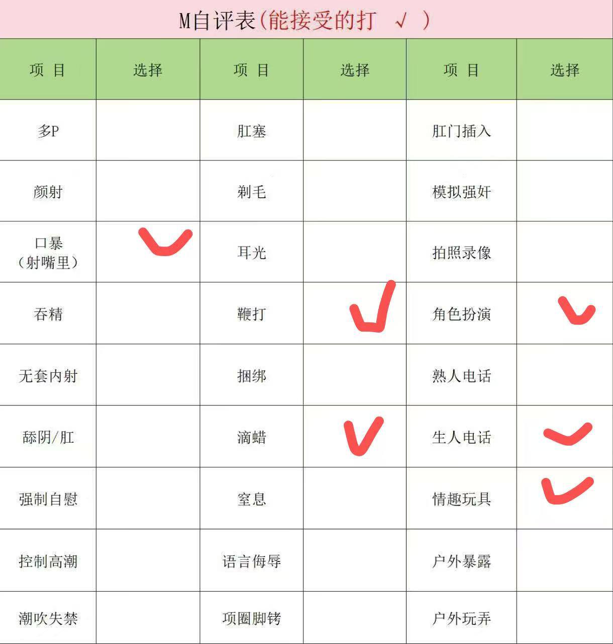 伴友 Z133