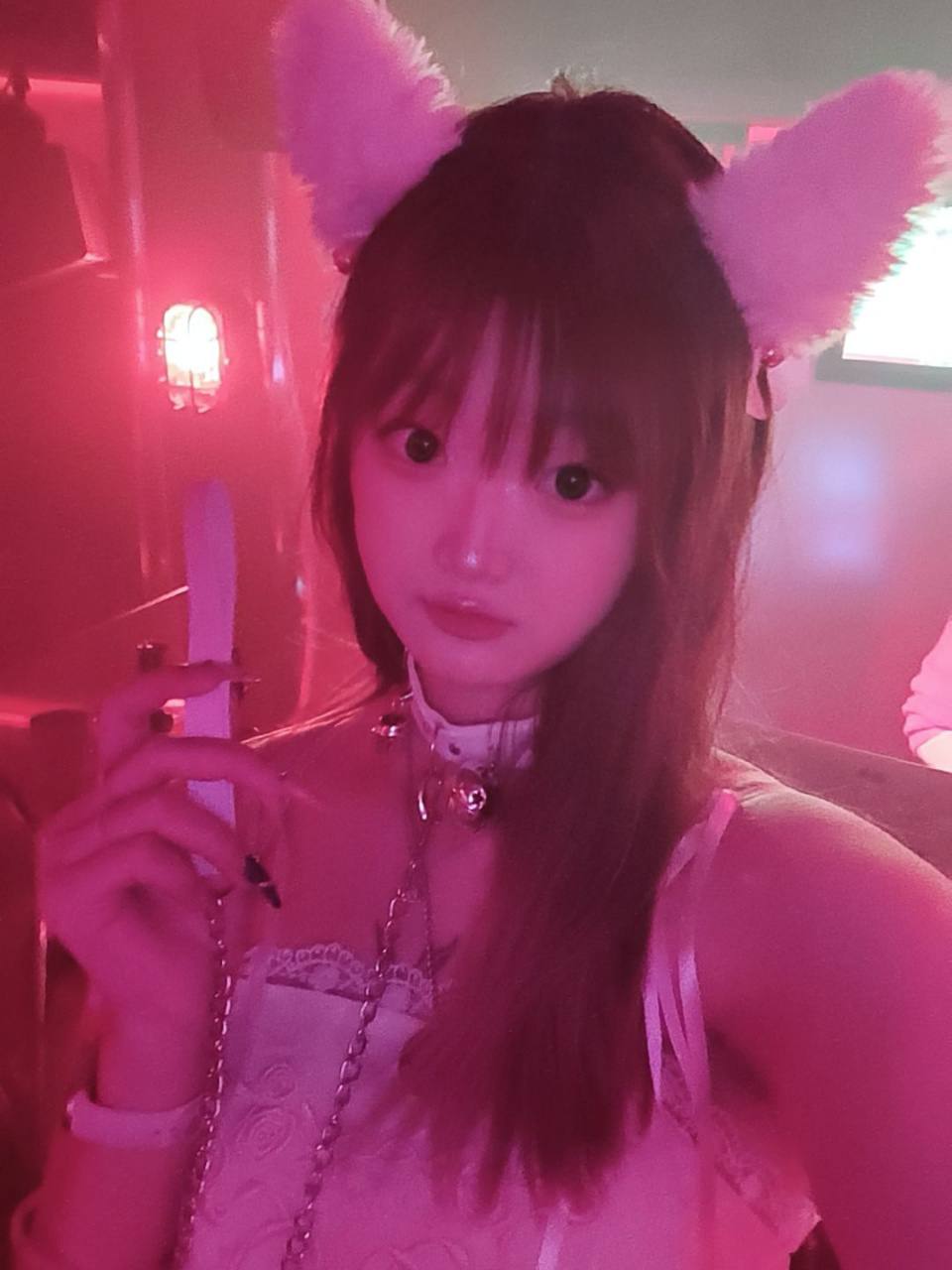 呆呆