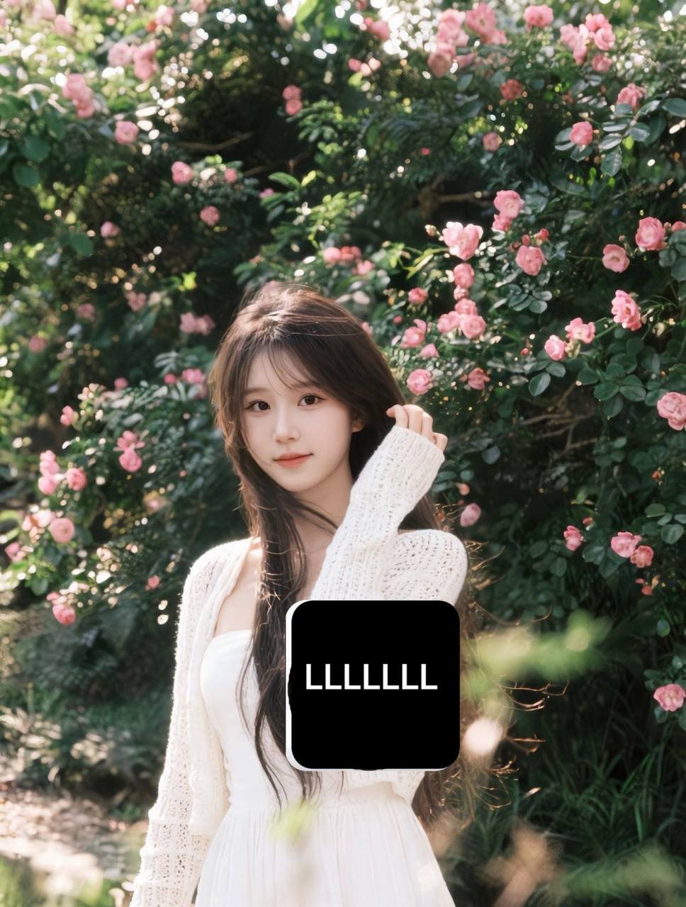 慧 (上新)