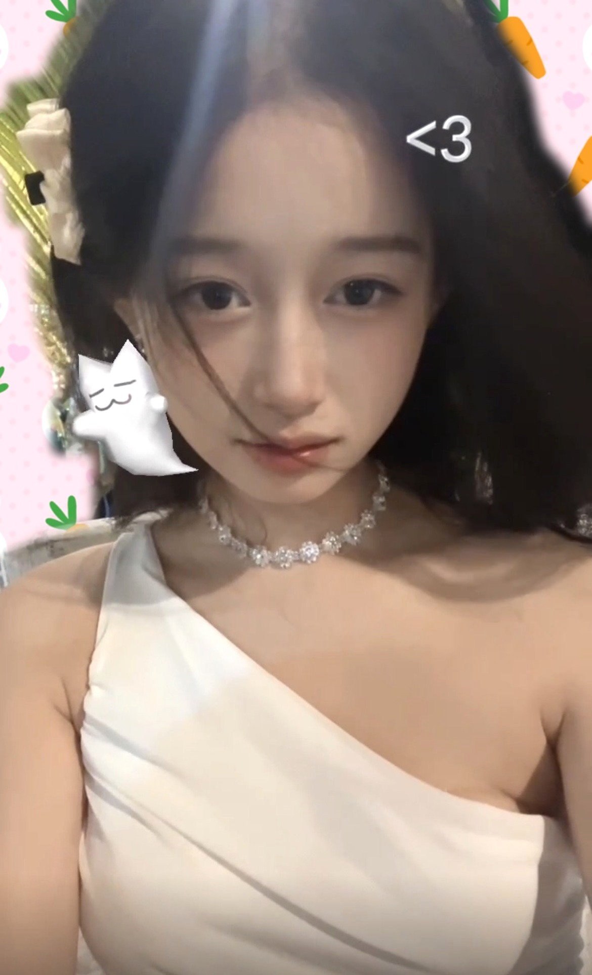 小白