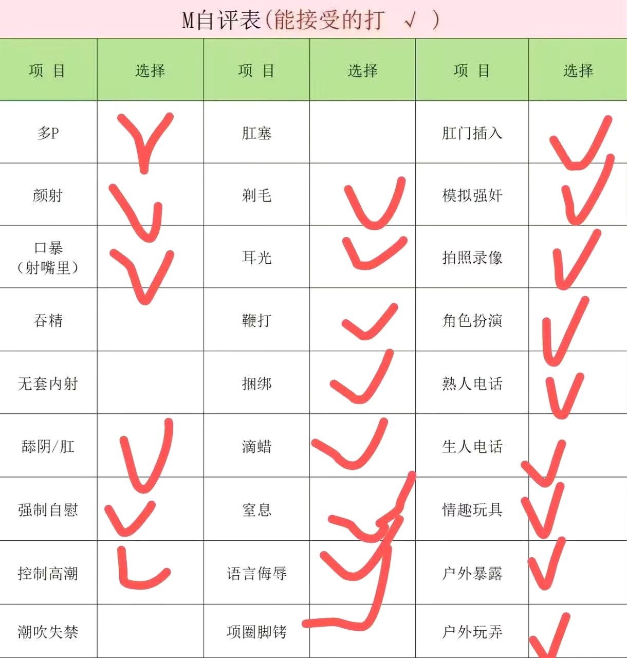 崽崽