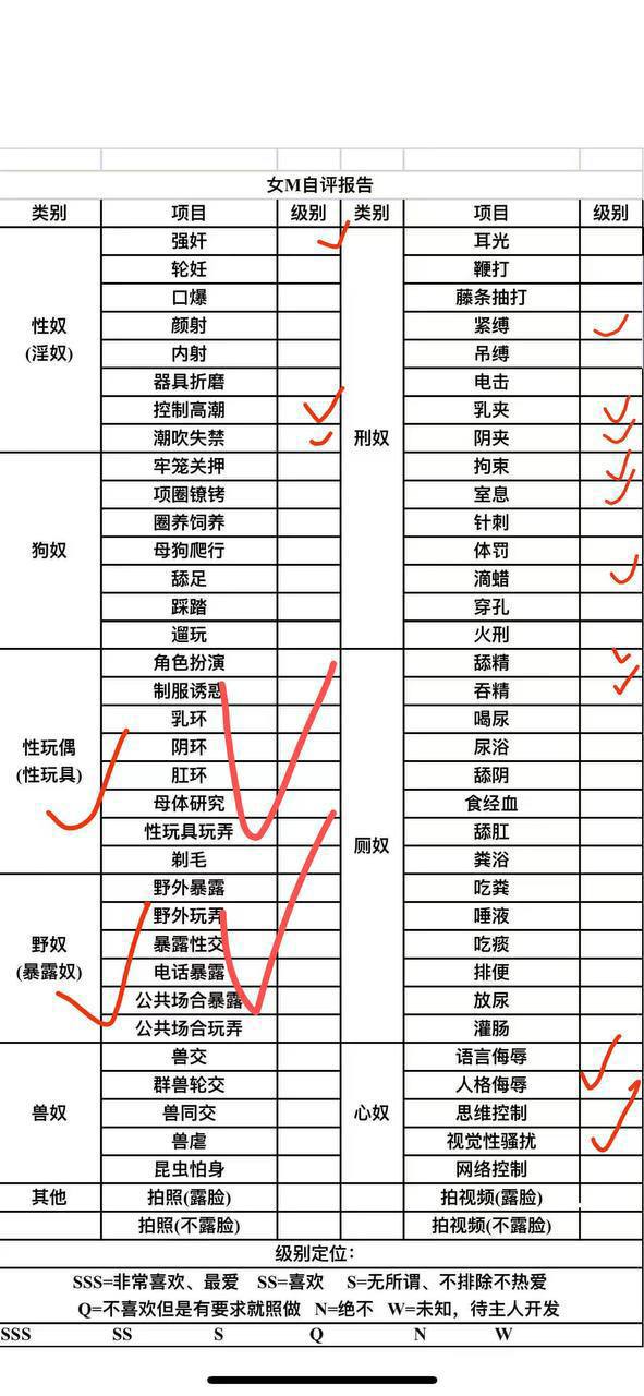 伴友 P23