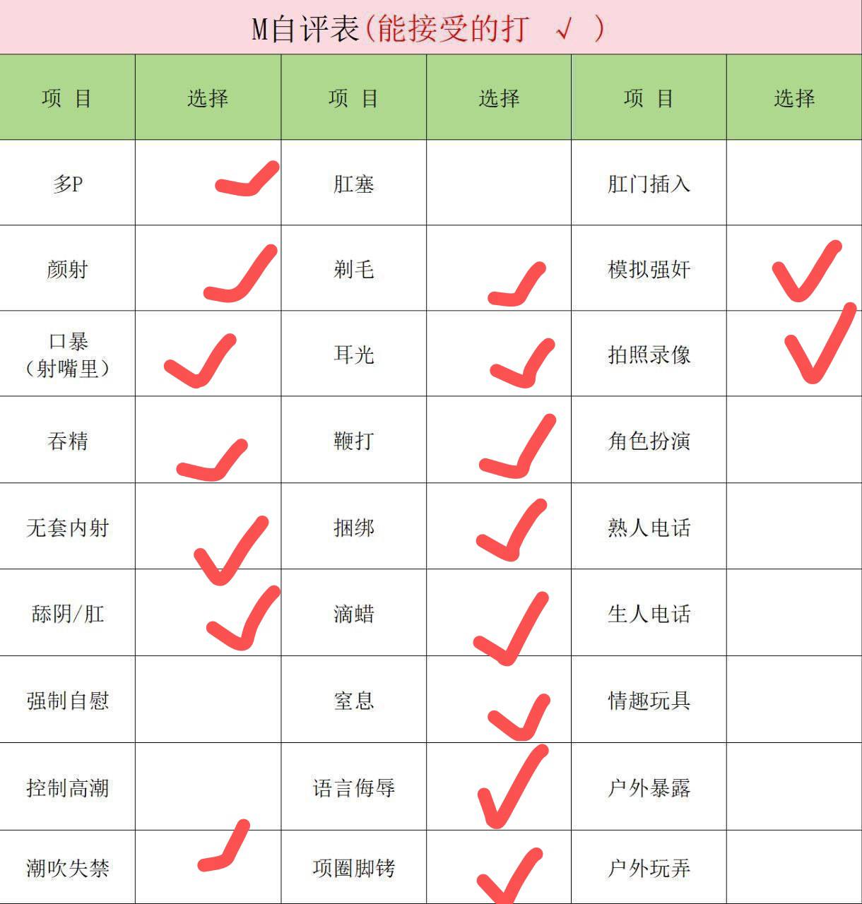 伴友 P91