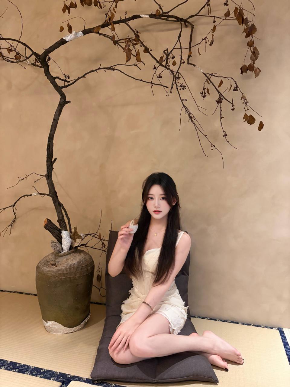 菲菲
