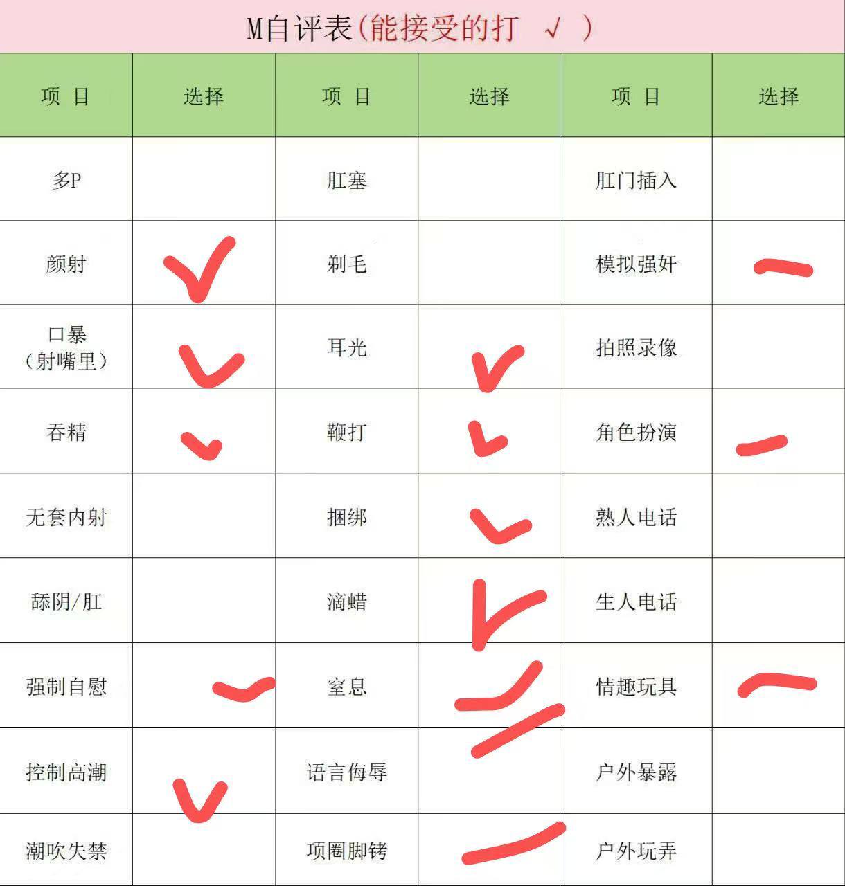 伴友 Z96