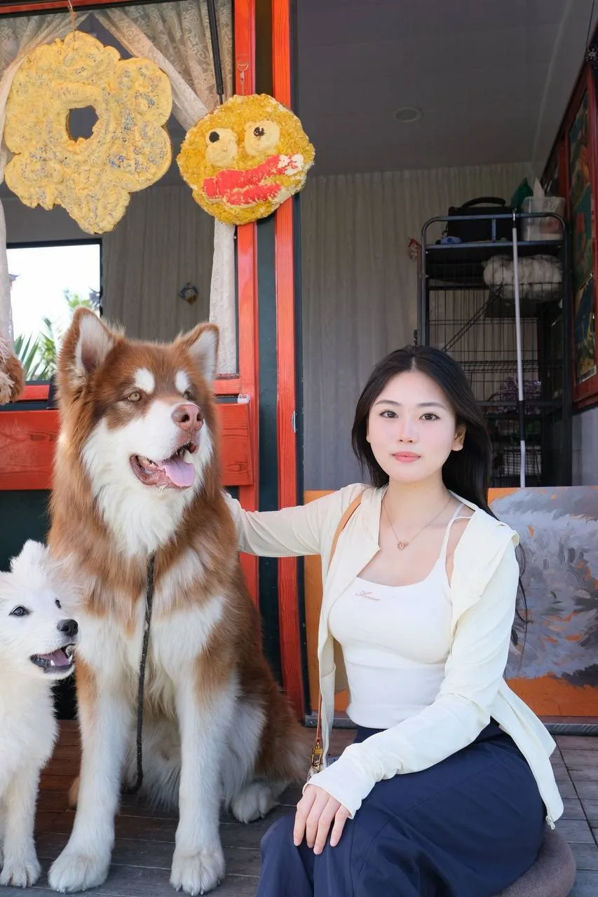 验证视频封面
