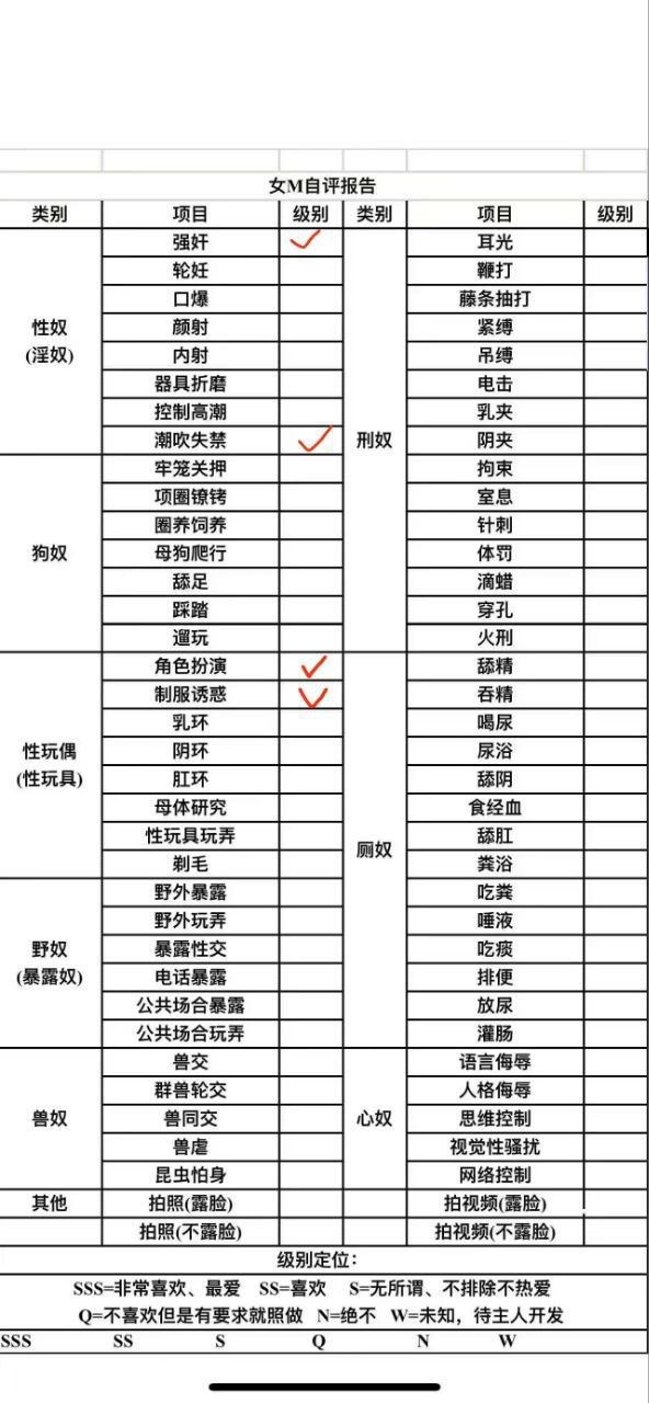 伴友 S40