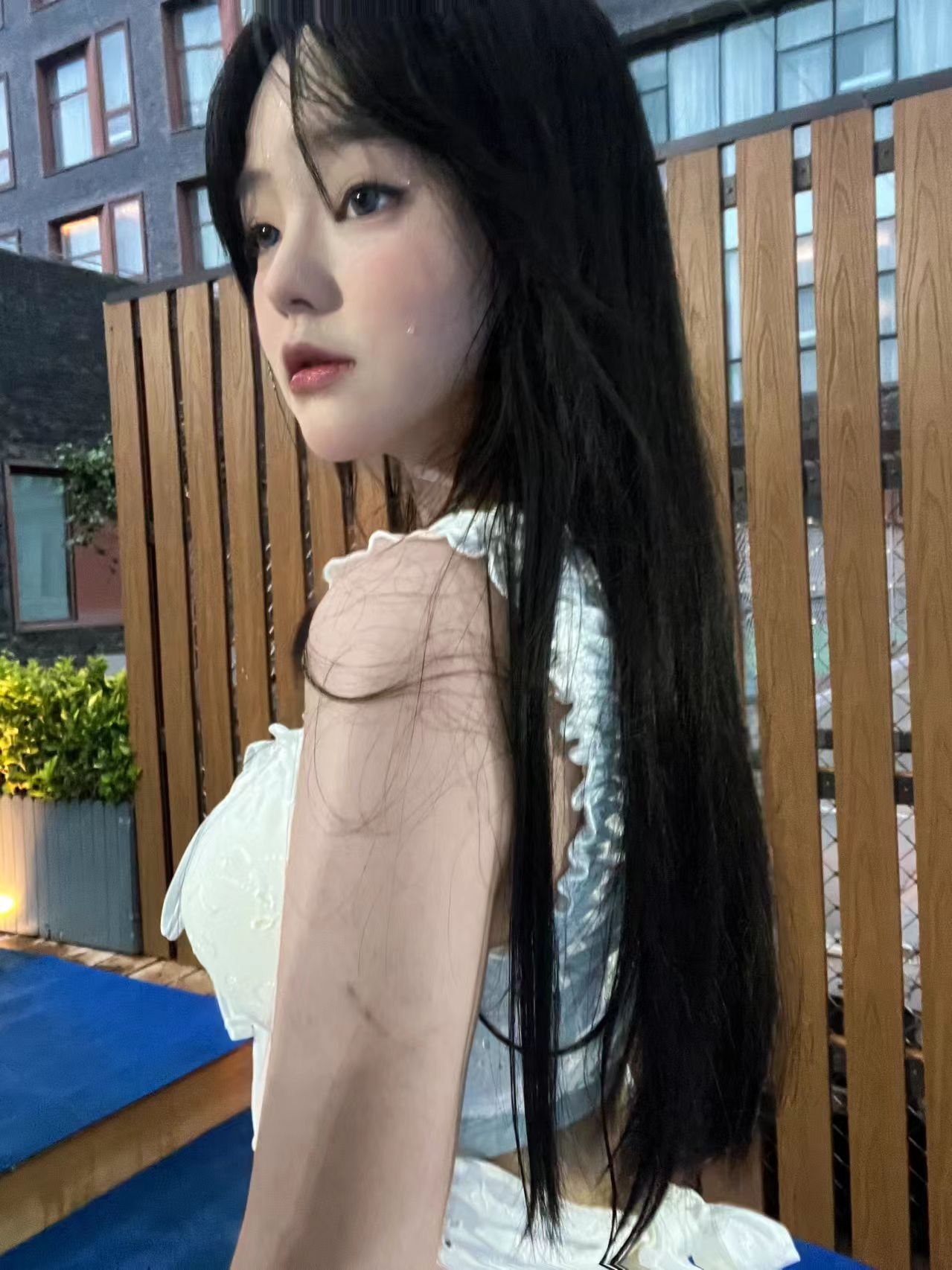 兮兮