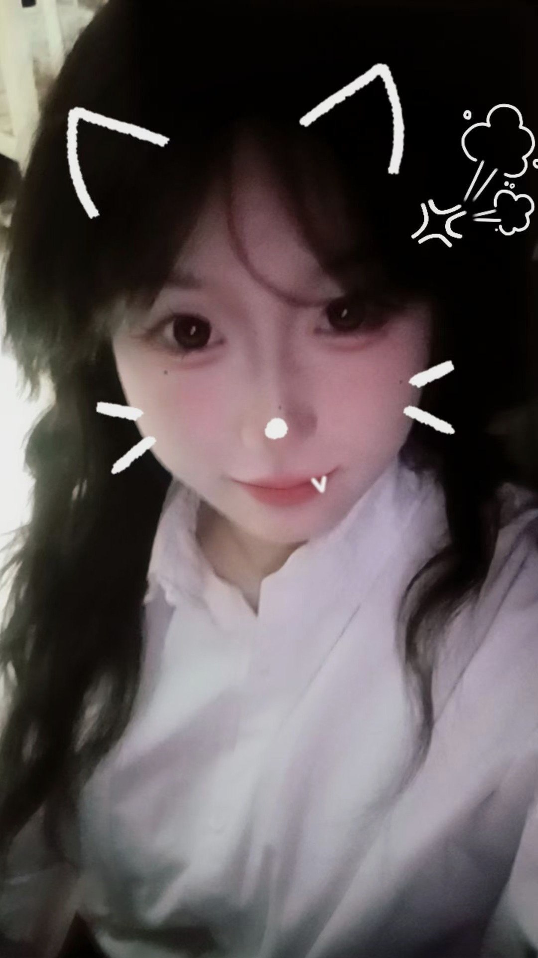 TY-C026
